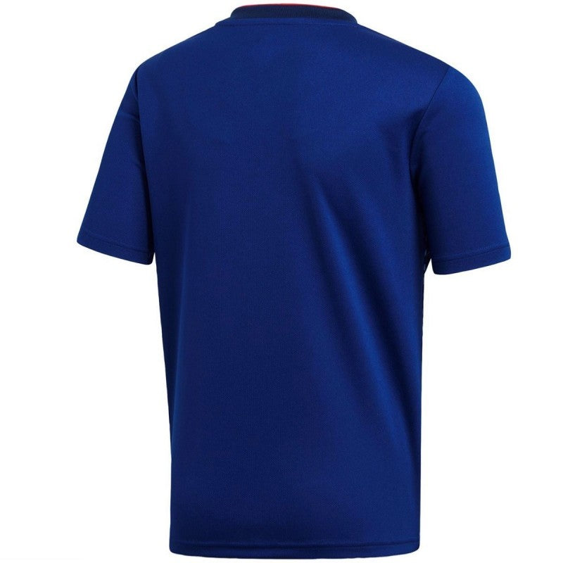 Camiseta Japón 1ª Equipación 2018 – Fan version